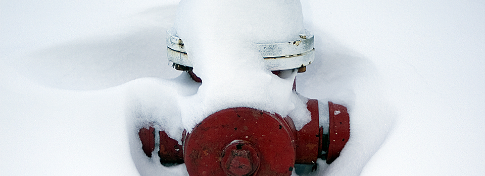 Fire Hydrant Photography