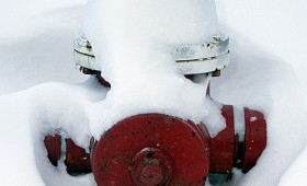 Fire Hydrant Photography